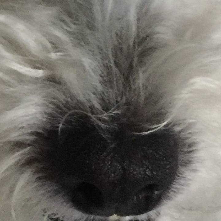 96ed50fa 07da 47ea b680 0db4a38e5bbd