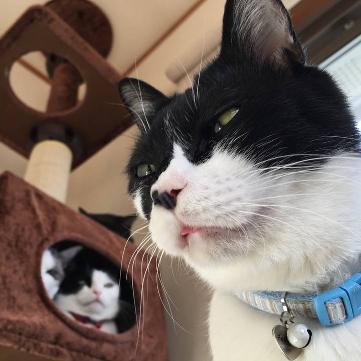 96ed7d82 d43a 4a78 b77f d91278685dd2