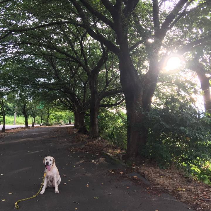 96eea3a6 3aaa 48d5 b571 c454ed577ba8