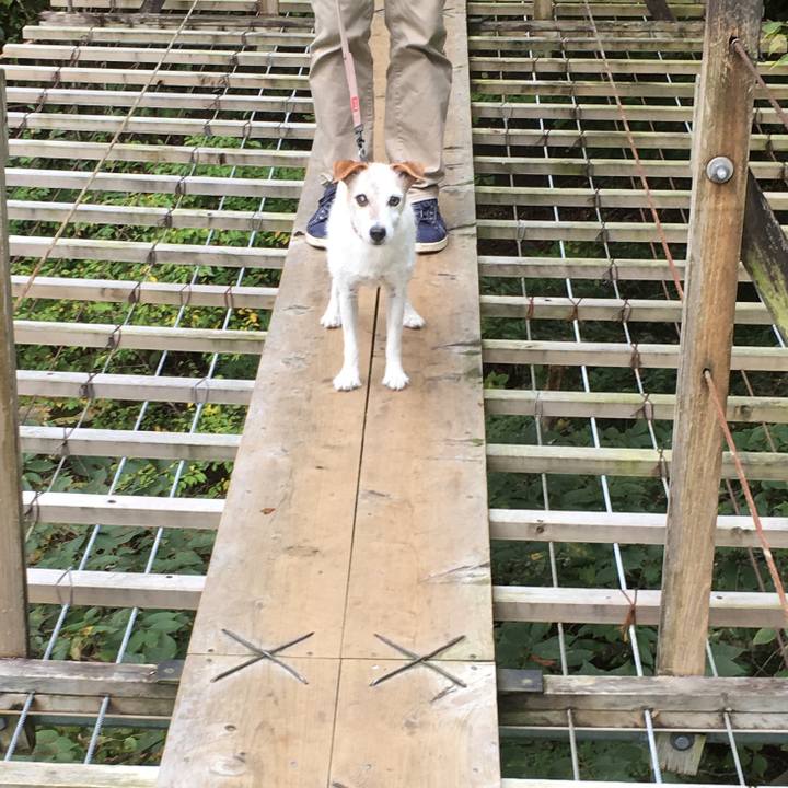 96eecde0 46f9 47e1 83e6 b98e934bde8e