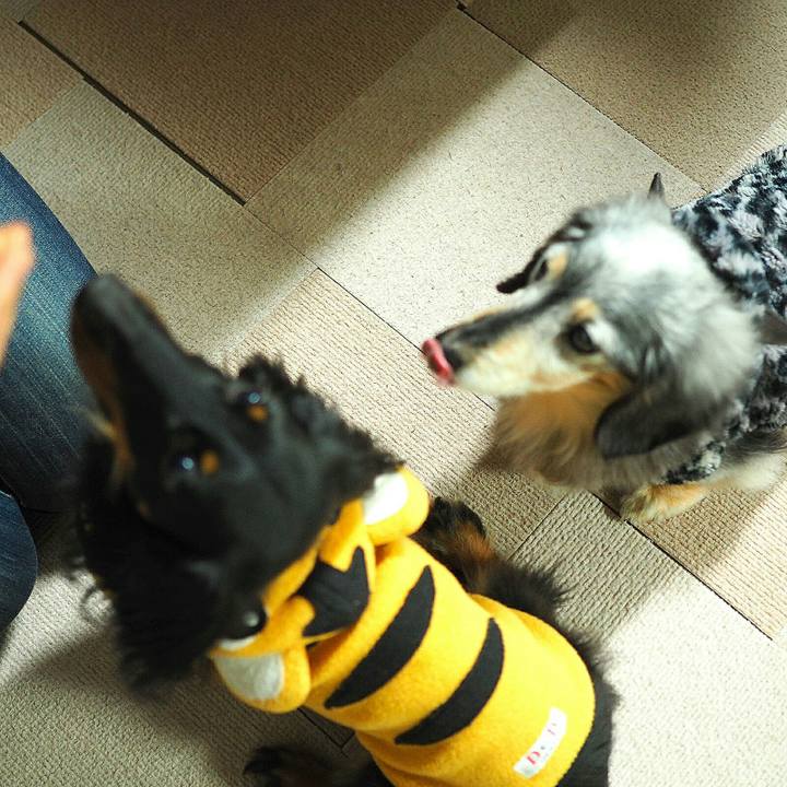 96eee7ea aa0a 495e 9456 c9eb3526f89e