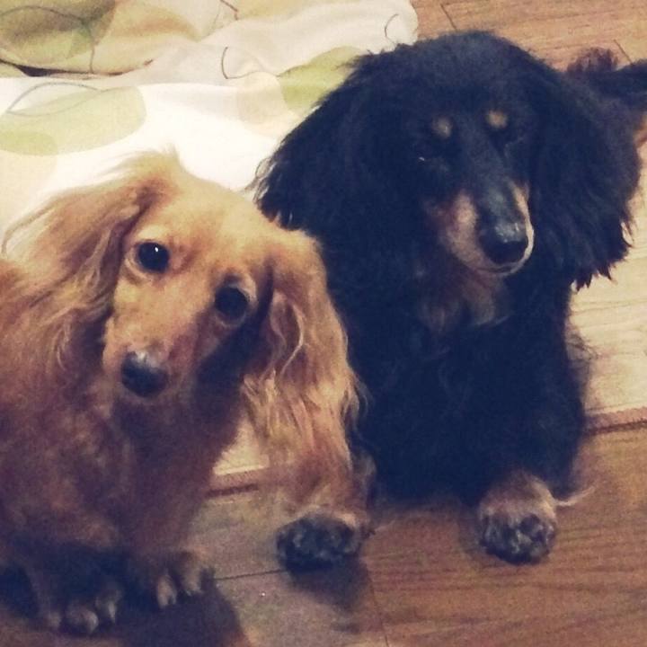 96eef343 92f7 4300 a737 e09ae1f0f712