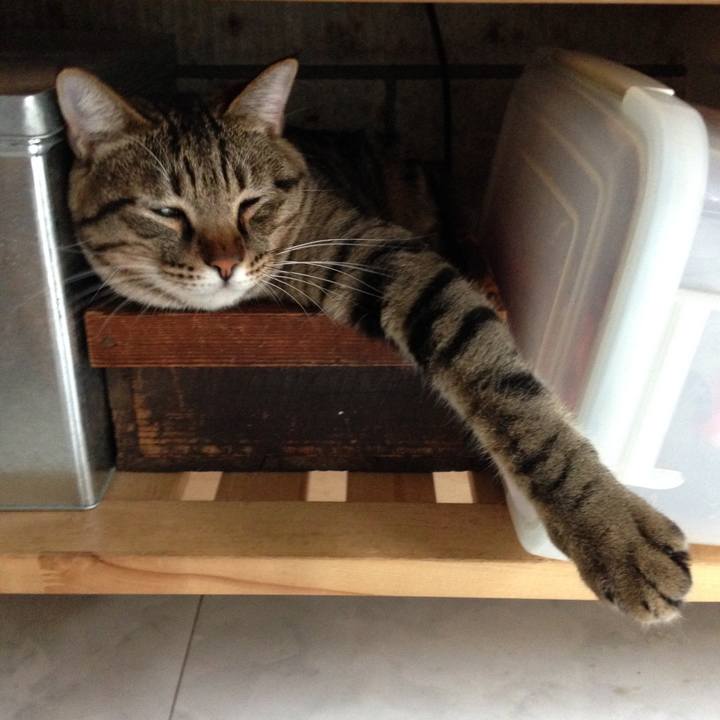 96efb951 85c7 4181 ad76 41fad7b47286