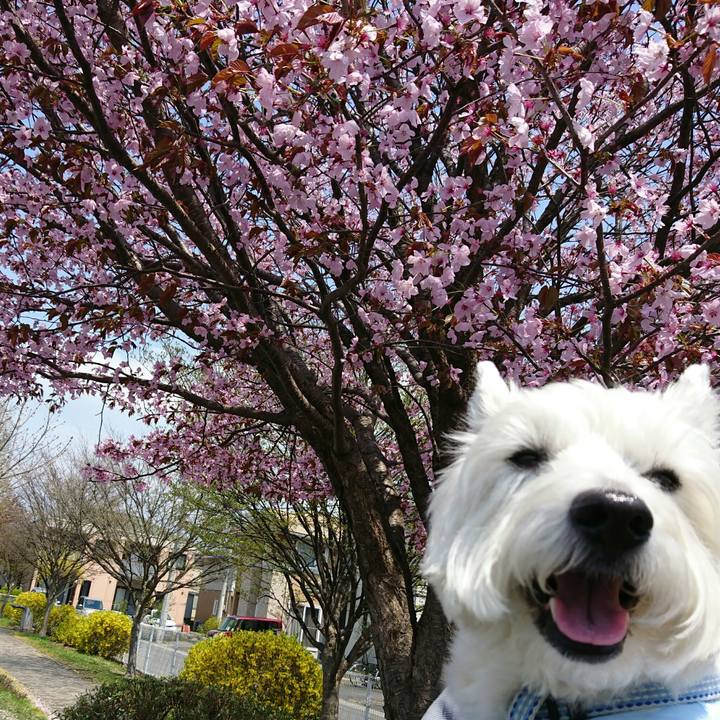 96f03825 192d 447d b9ec 6baef7d6419a