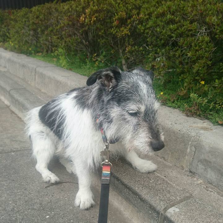 96f04aeb 9739 4f3d b9bf 9f146a86b966