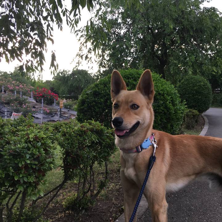 96f07ed0 4f7b 4833 8ee5 b95f0ebc9334