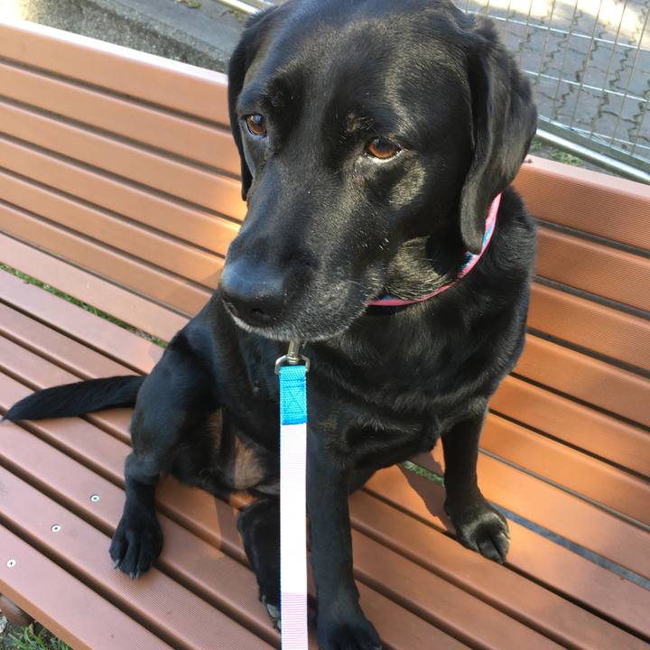 96f11767 7ab2 46cf 80df 9ceaaae7fc5d