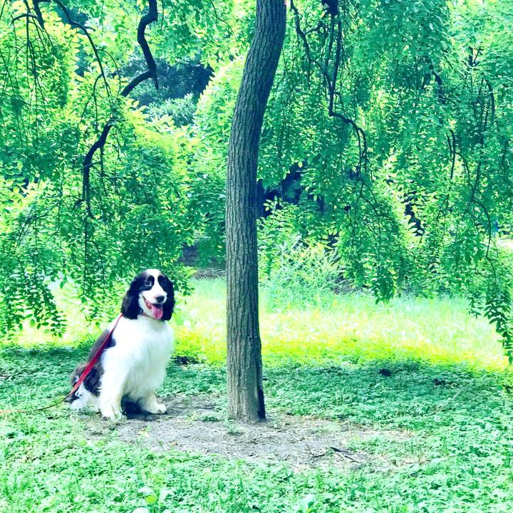 96f133d7 66c9 4ed0 900c a6c8cb411a0f