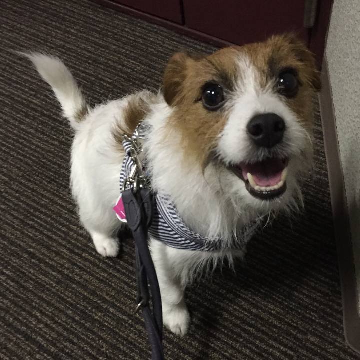 96f14020 6e99 46bb 8d7c 05644529495c