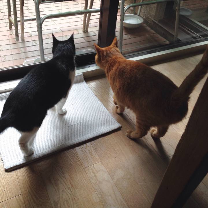 96f173b7 e46c 4b4d 9c55 4302c4f9c7de