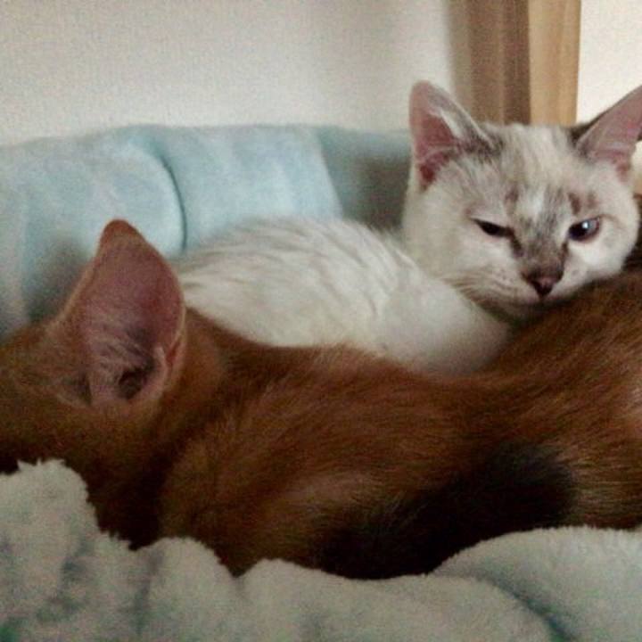 96f28866 6182 481c acdb e9ec30f138ed