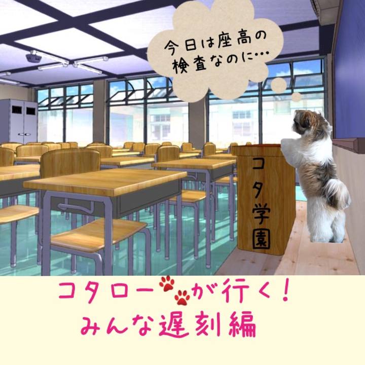 96f28c10 2d64 4a86 9248 a0922a22b0f8