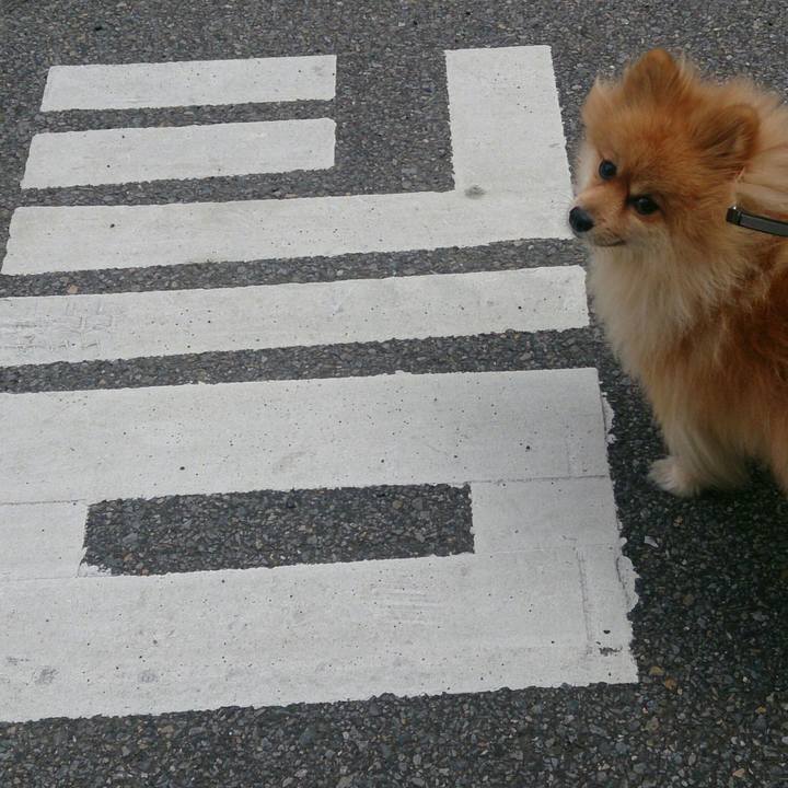 96f28ce6 5716 43c3 897a d160897c96ee