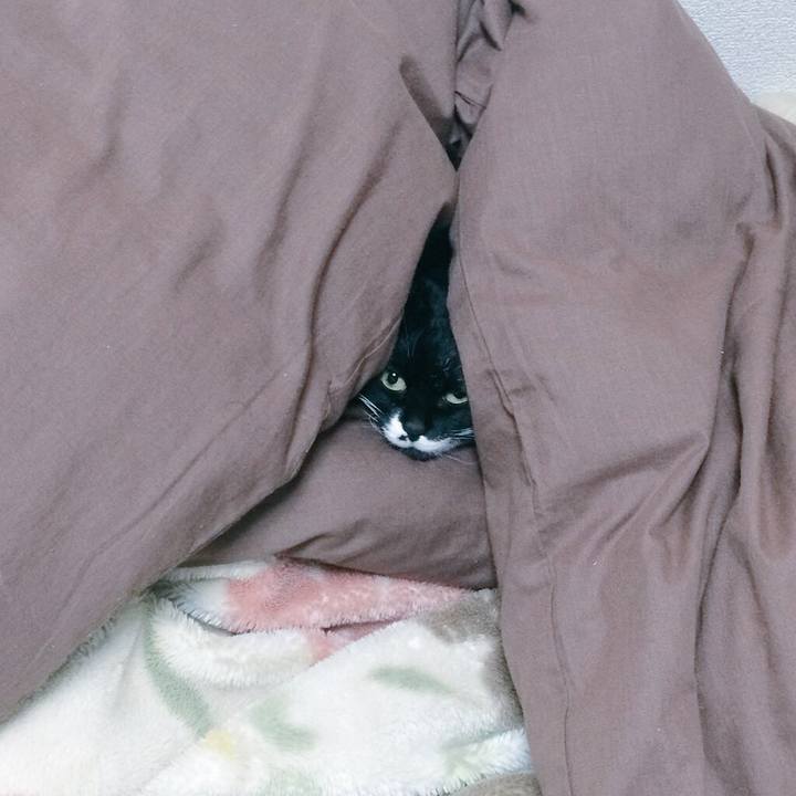 96f2ad3e 2352 4dde 84b8 776662a99380