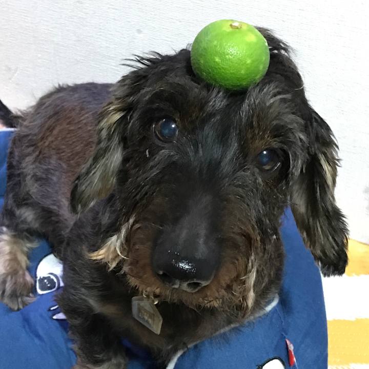 96f2d5ce a64d 4f2b 82c3 f44c14ebf867