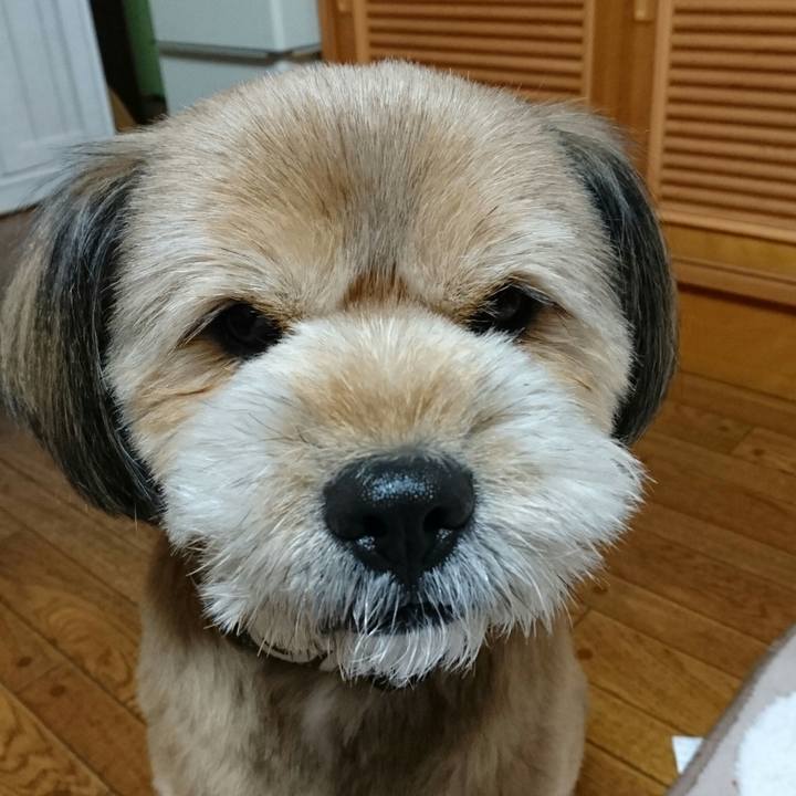 96f30a1b f883 4f08 ab8f 71431b7fc472