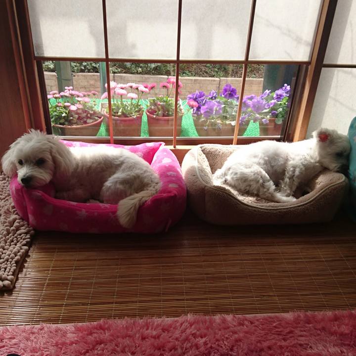 96f31d8d 3208 4105 bd98 6d2293067fe6