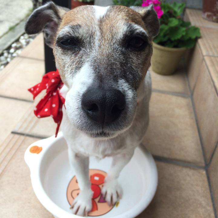 96f37982 7b5e 4ff3 bb80 01c6f2454a41