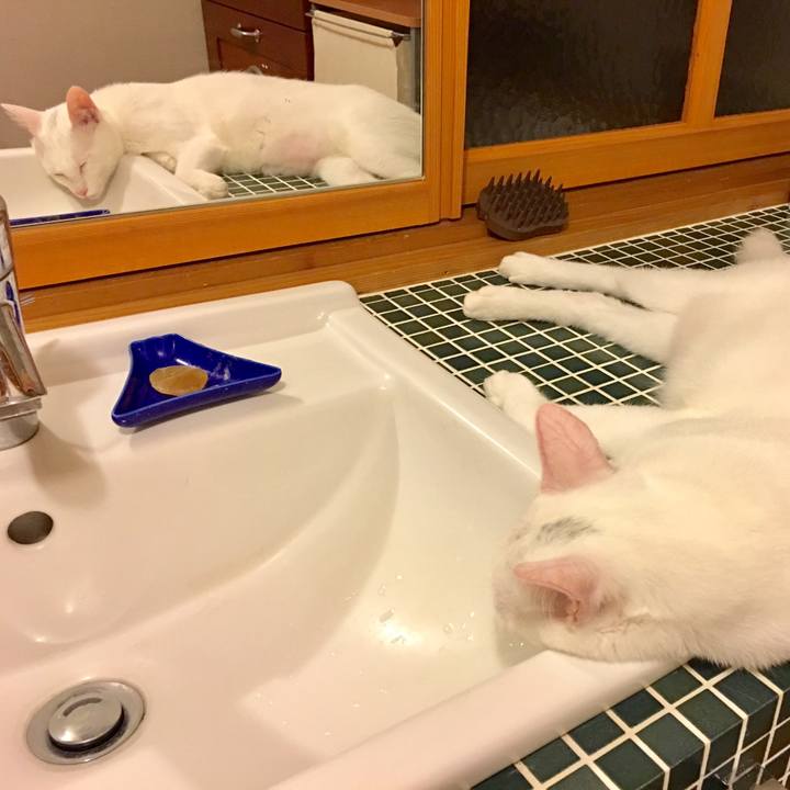 96f3b801 3624 4f92 93c8 9e27837ef6cb