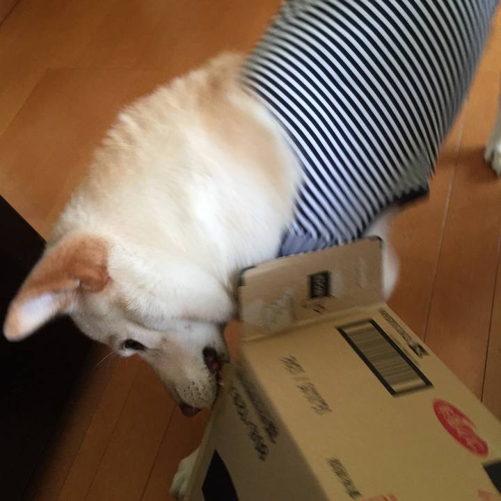 96f47aa5 95e1 4824 9cf8 883f97d60a02