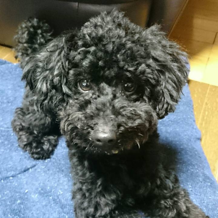 96f48489 f4db 4296 a8e6 ffb5d4b4ed0e