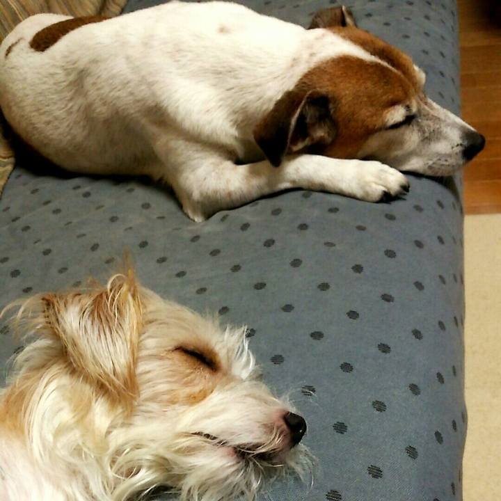 96f4de10 e0f2 4aca b055 bd19904678c4