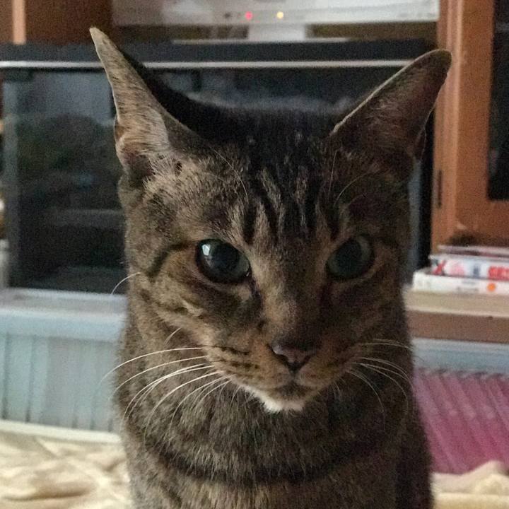 96f64ef0 3b46 4209 9632 7a60c2c27cf2