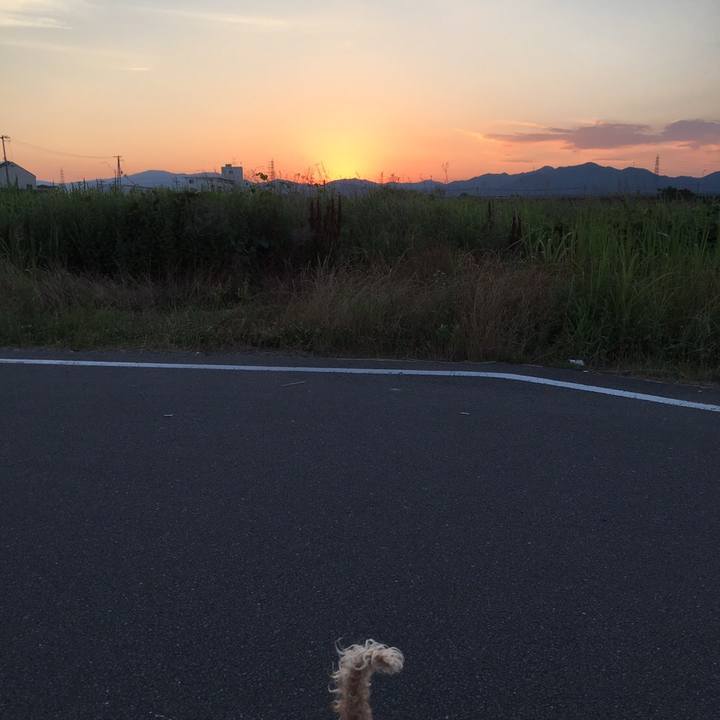 96f654d5 0c98 4b32 9e08 4bada5674e33