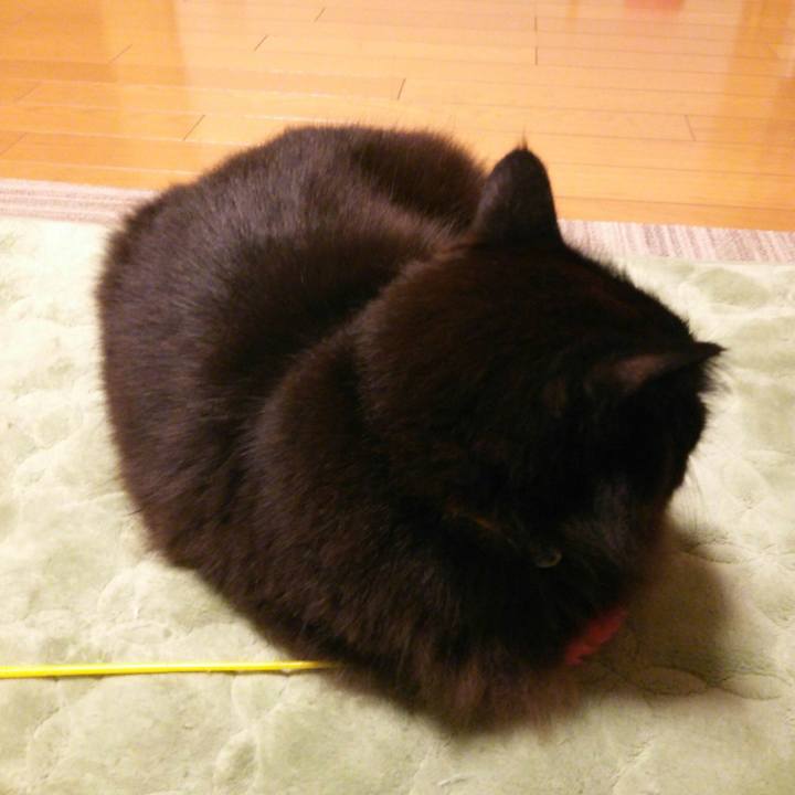 96f68306 6cbe 4902 ac12 7e6cbfbc84ad