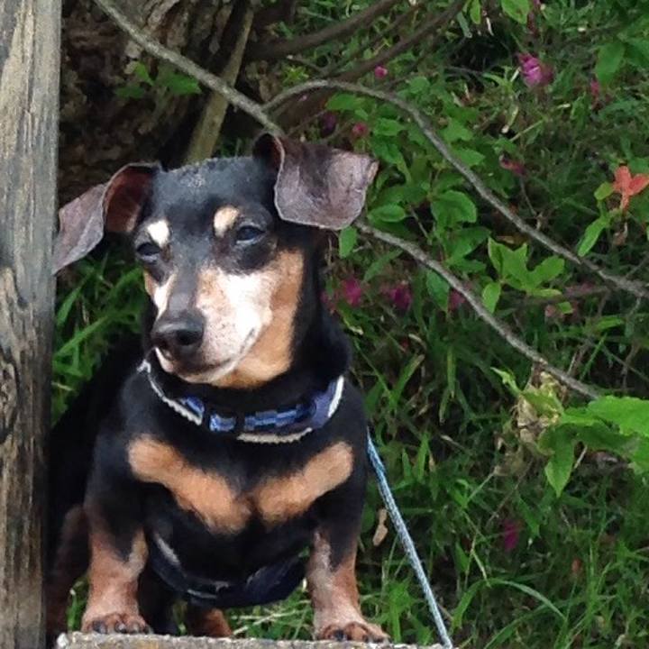 96f686c5 0765 487f 9060 f5d5e7861420