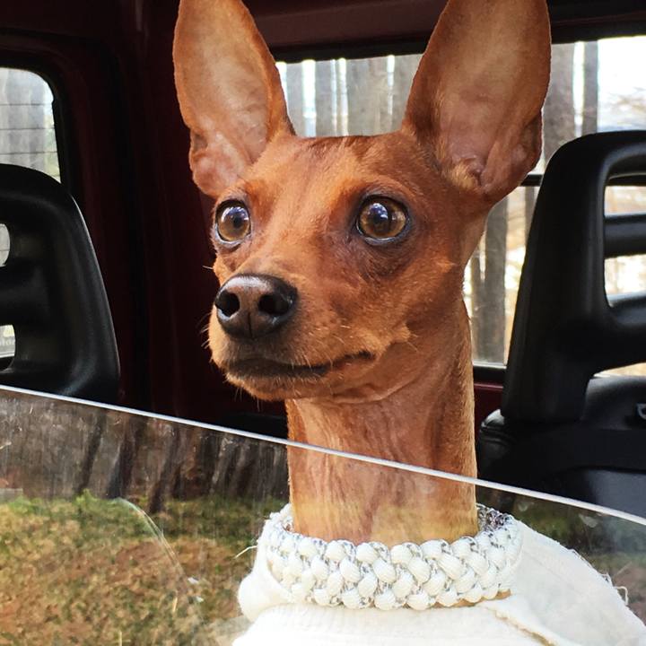 96f70554 d025 44d0 bb34 c32acd704093