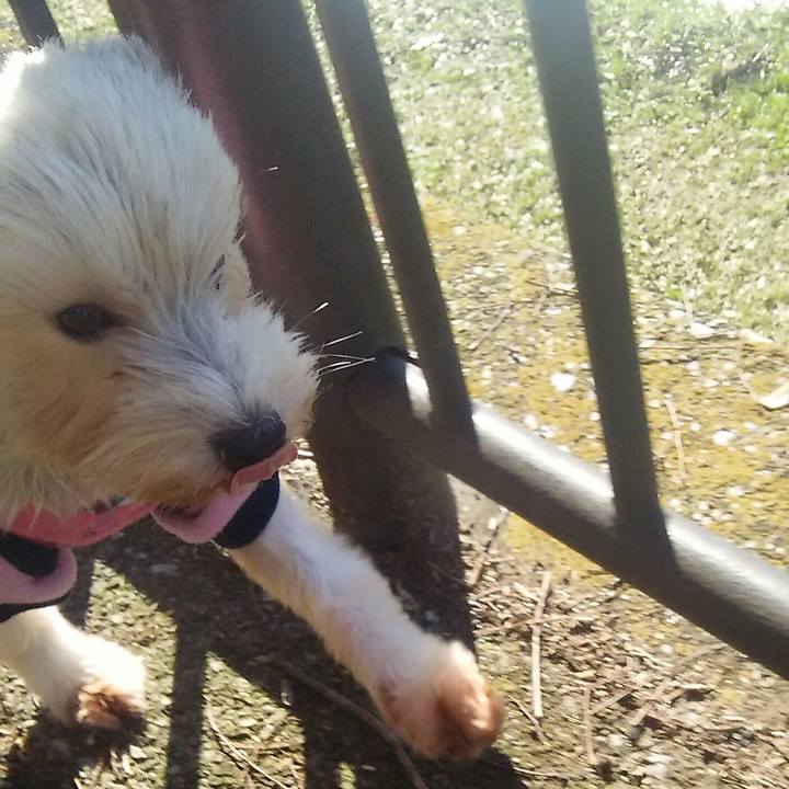 96f712d1 2f6a 46a7 9091 f0d92a927a91