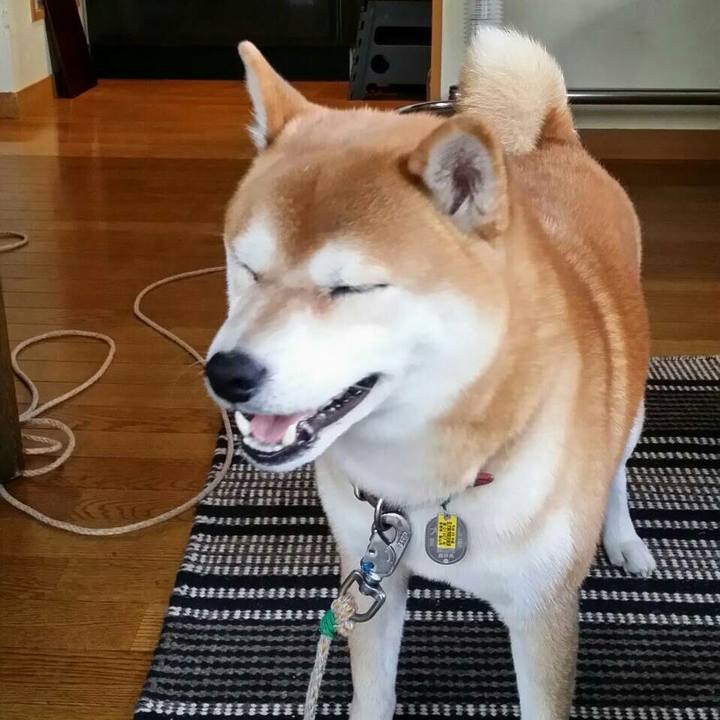 96f728c9 f83a 43c5 b8e1 8147ee7b48fc