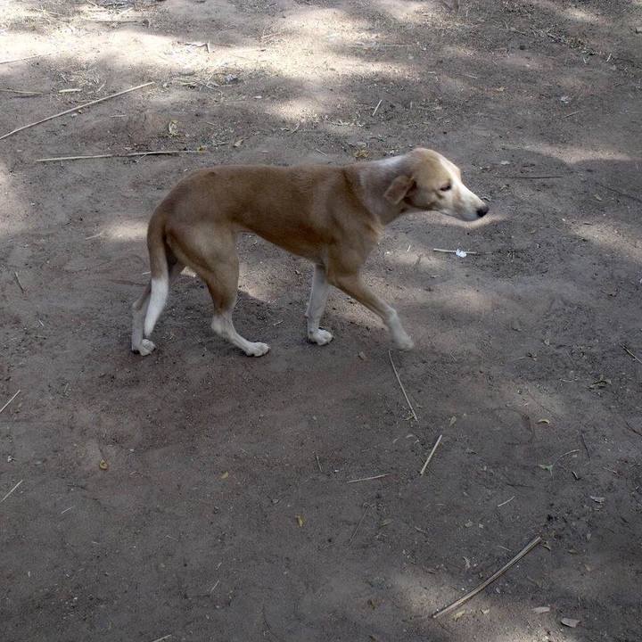 96f740a4 76d6 4ac2 b5cf 283e0779e78c