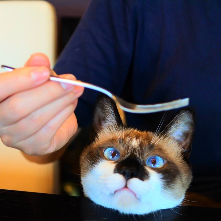 96f7c6b2 274f 4336 b970 ae03d4c19b36