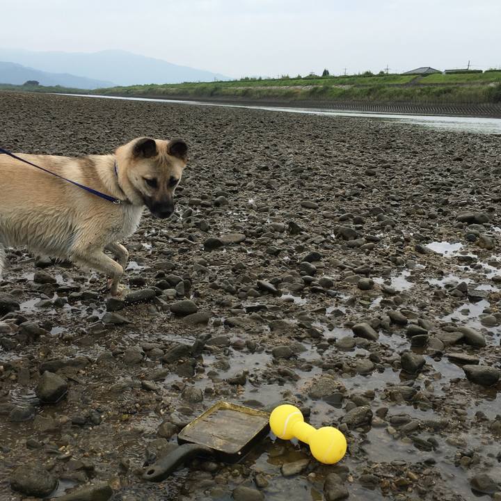 96f7d246 be49 4c19 86f2 102a07244964