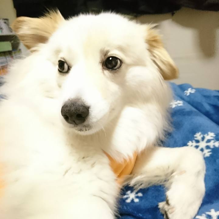 96f85370 0aca 45c7 9c7e e0d184929d0c