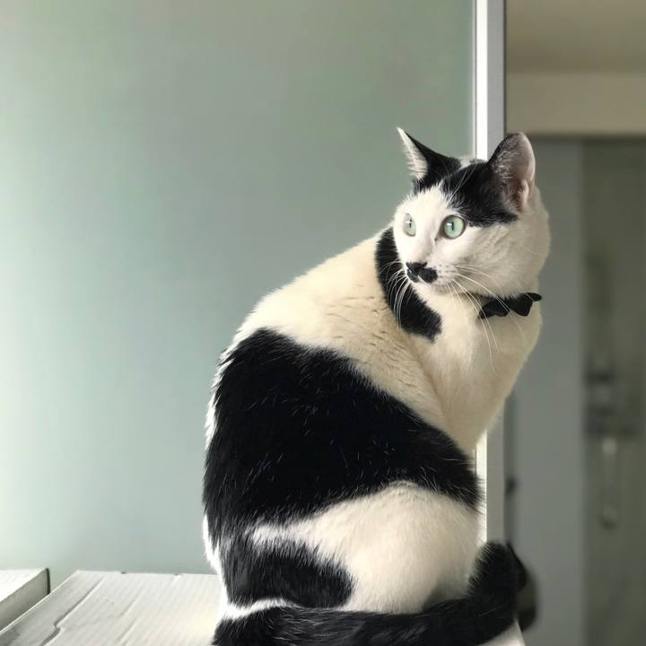 96f90664 4415 4ce6 bb2d 4d1793c84863