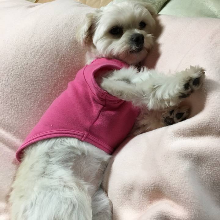 96fac549 d604 4f2d a42b 1400cd57b758