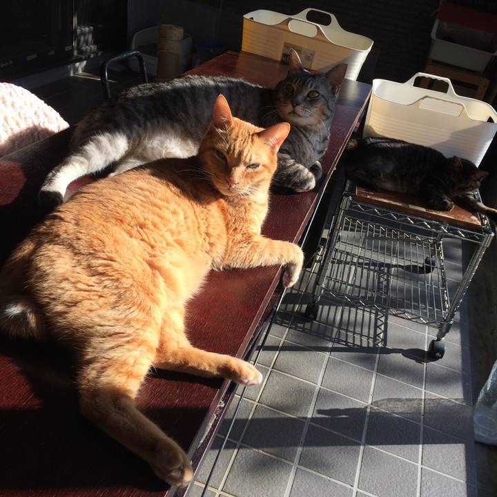 96fb3e3c bf2c 4966 b33e 2e0d084acab6