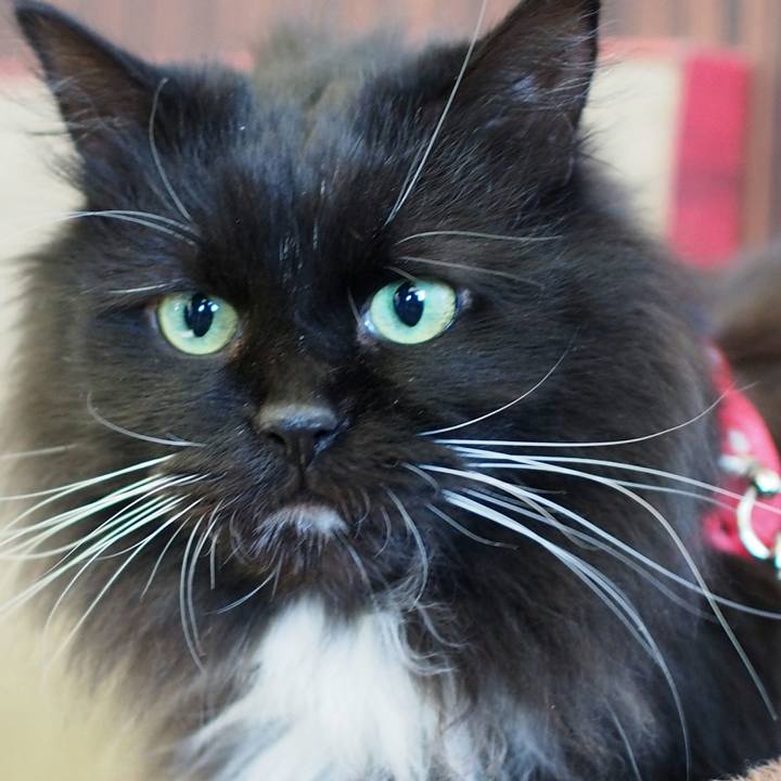 96fcaa5c e152 4407 b215 4e28f26e2ed3