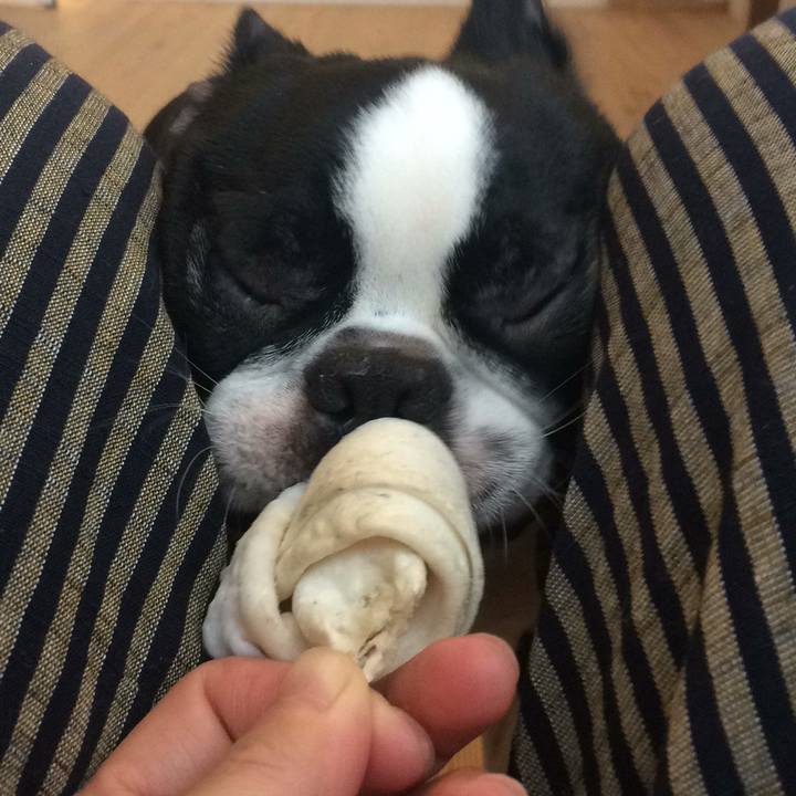 96fccb97 8afe 44b9 a58f 228ec749bf85