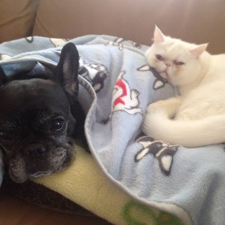 96fd9efe 693a 4f52 ac38 2b053c079b83