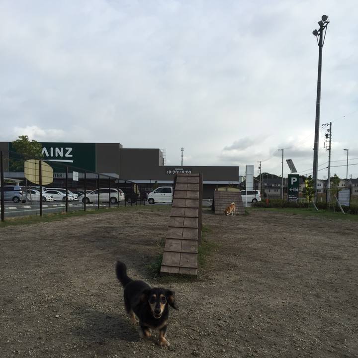 96fe6353 4b38 48c2 bec6 ba80fe71c7eb