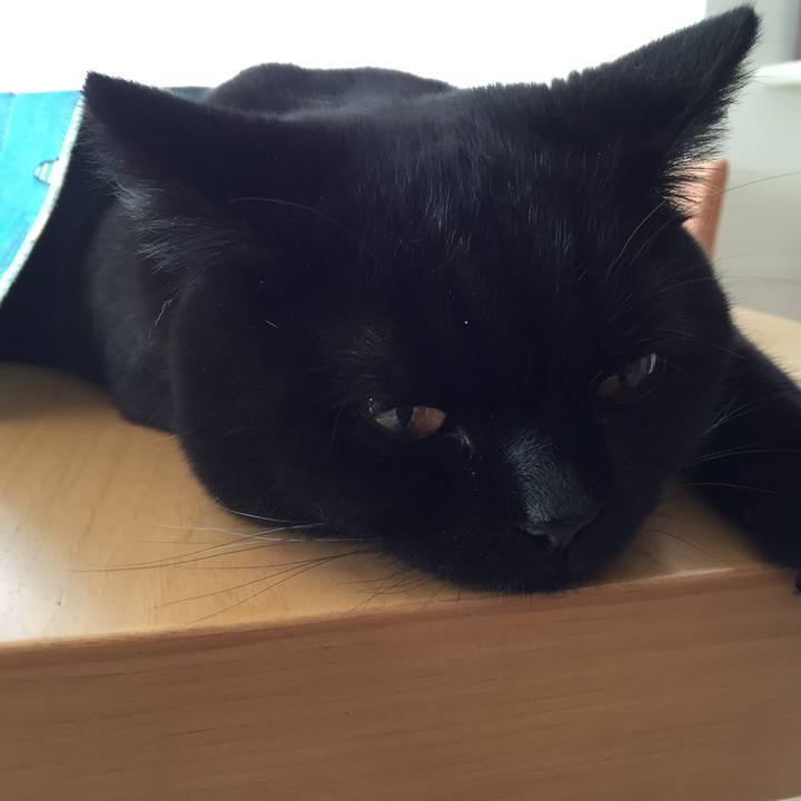 96fe67f4 dc0d 42ee a8d0 251d44528b82