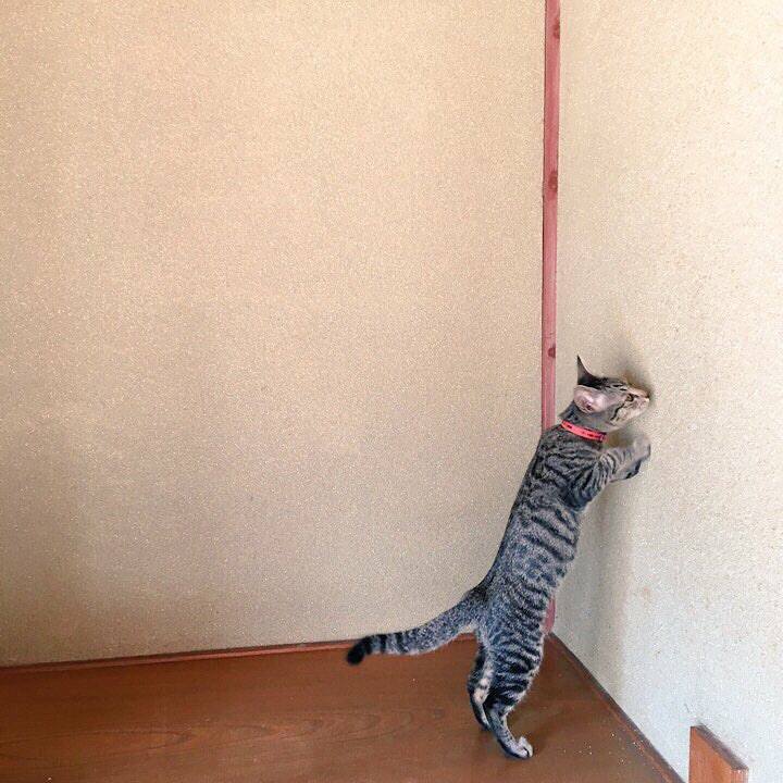 96ff0af3 fa20 4c5f b11f 6746edfd612d