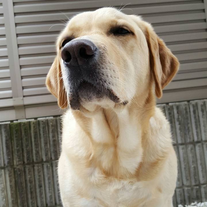 96ff84a3 60c5 4ab0 bad5 9c37f1a43596