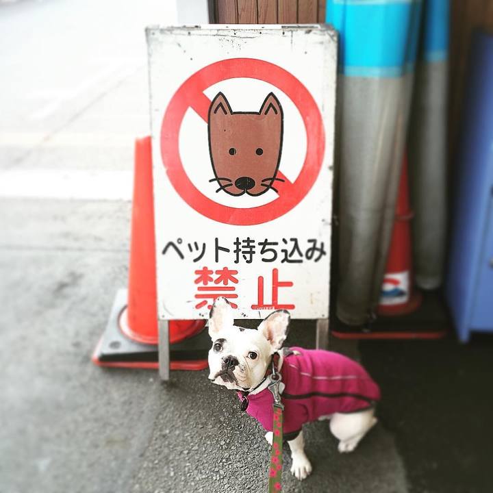 96ff8e29 8583 4b98 8029 e177fcd6e5fa