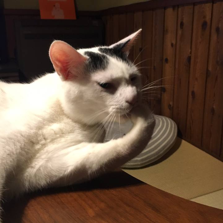 96fff44c 343e 48d0 86d0 d1206f15e923