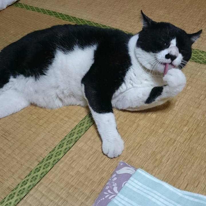 97000128 10f3 4960 8c5f bb2319bb8fc0